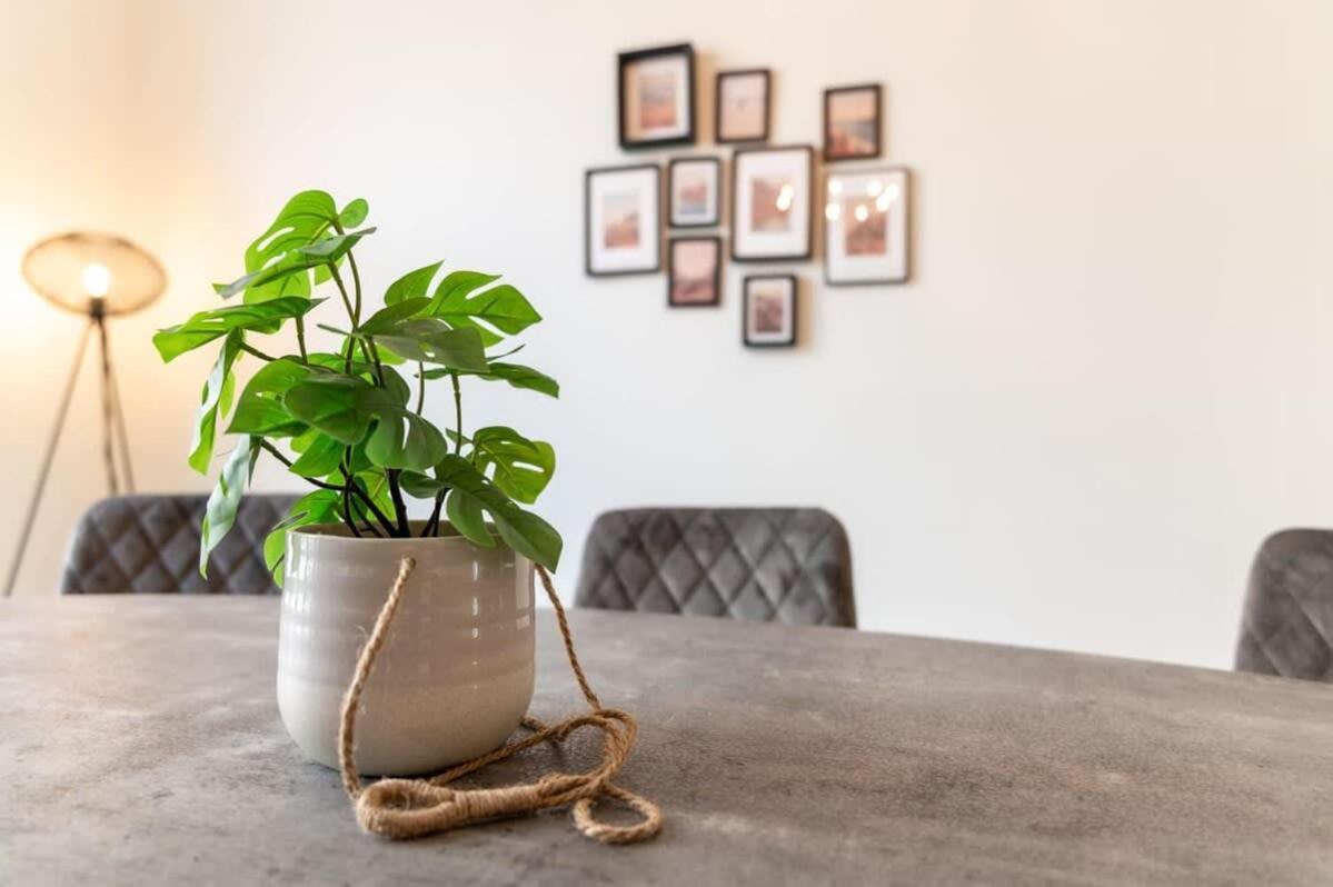 Beautiful Renovated Apartment In An Authentic Building Остенде Экстерьер фото